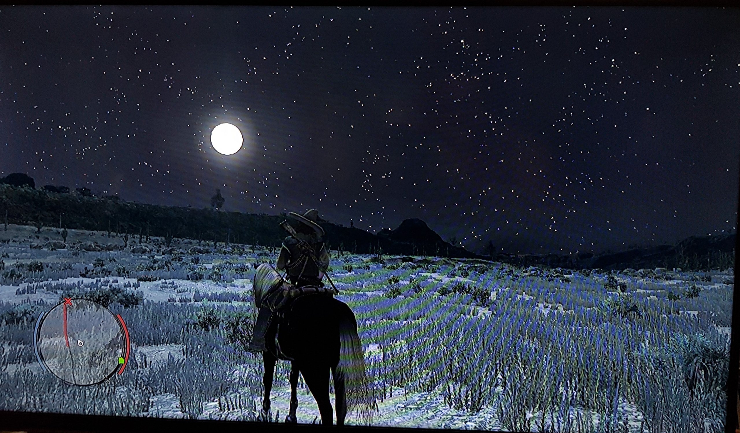 Red Dead Redemption Starry Night