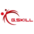 g.skill-logomic