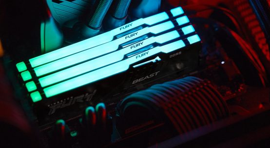 Kingston FURY Beast DDR5 AMD EXPO | WASD.ro