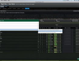 Footbal Manager 2013 (18/21)