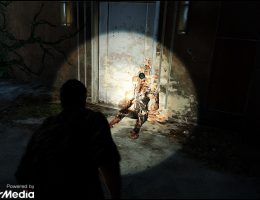 The Last of Us (5/6)